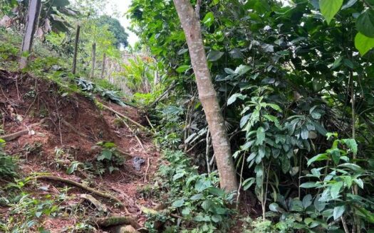 Propiedad con ubicación exclusiva y lote grande