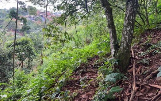 Propiedad con ubicación exclusiva y lote grande