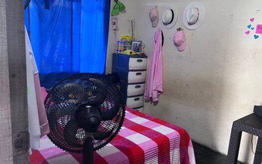 Propiedad económica