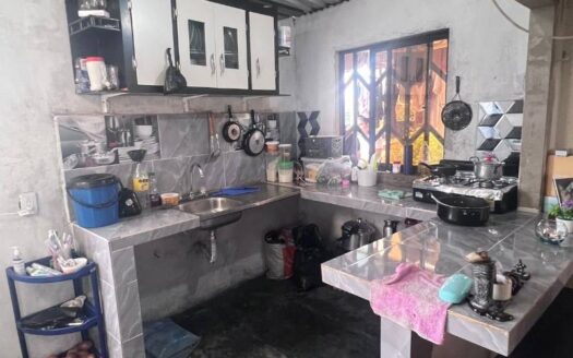 Propiedad económica