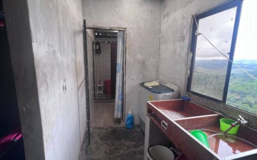 Propiedad económica