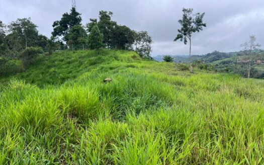 Lote grande en zona exclusiva