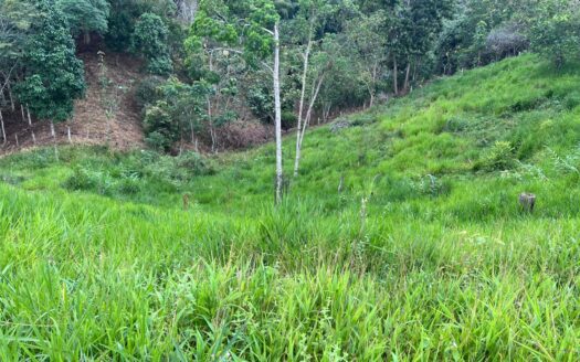 Lote grande en zona exclusiva