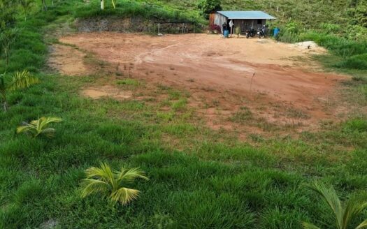 Parcela con buena ubicación.