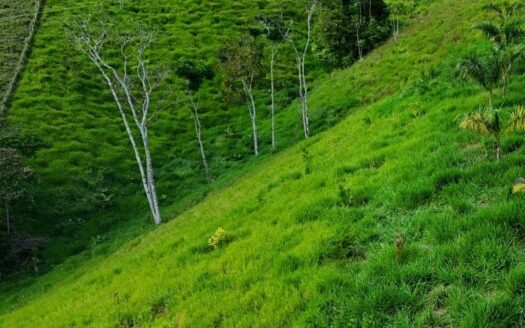 Parcela con buena ubicación.