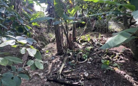 Casa con buena ubicación