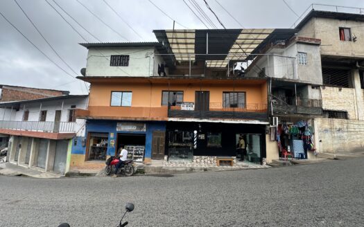 Propiedad Grande y Central