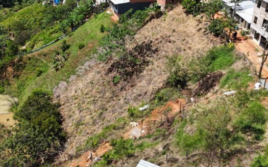Lote Economico