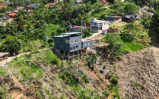Lote Economico