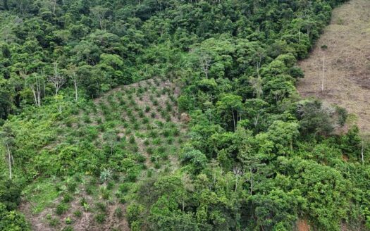 Finca cerca a la Autopista