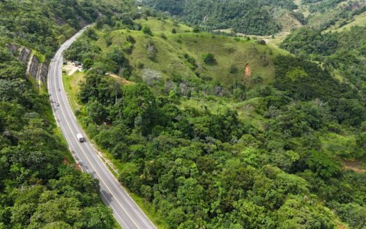 Finca Platanales