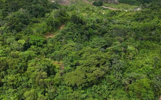 Finca Platanales