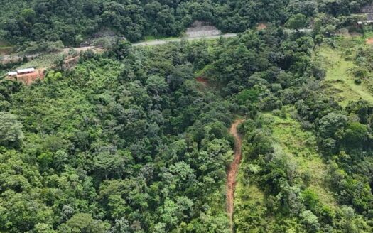 Finca Platanales