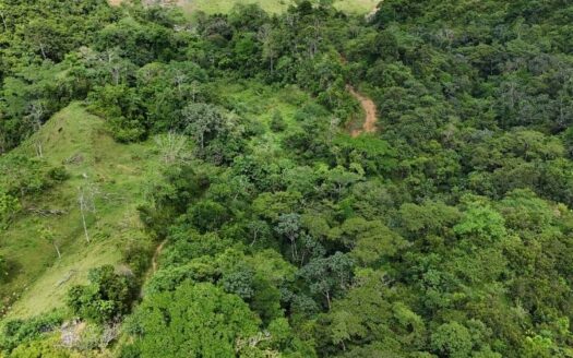 Finca Platanales