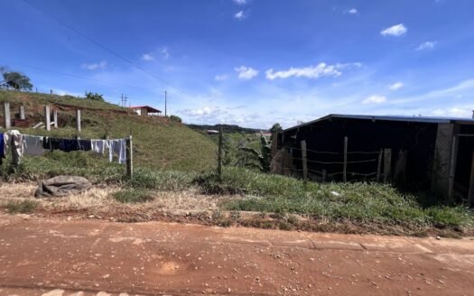 Campo Alegre