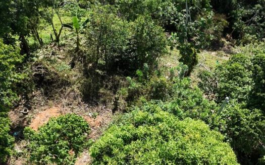 Tres vivienda Con lote grande