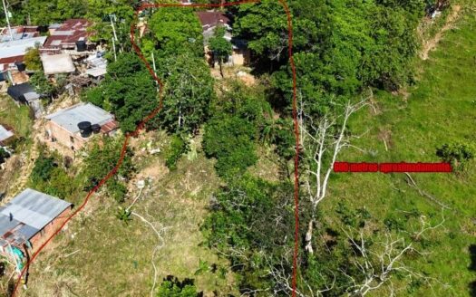 Tres vivienda Con lote grande