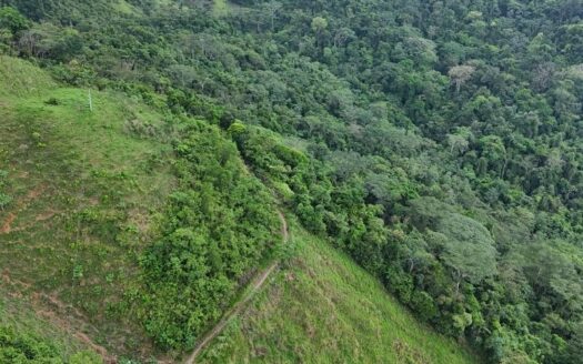¡Finca cerca a la autopista!