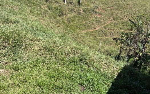 Campo Alegre