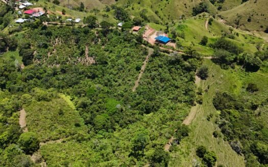 LOTES LA BRAVA