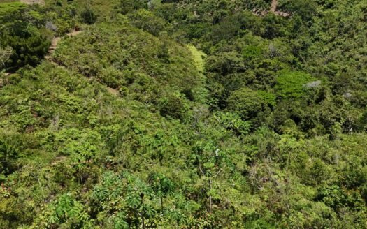 LOTES LA BRAVA