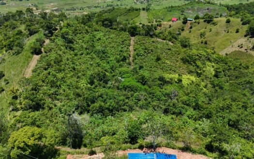LOTES LA BRAVA