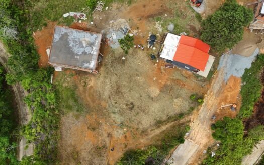 Lote Manzanillo