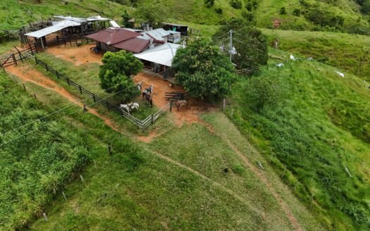 Finca Zaragoza