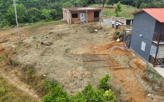 Lote Manzanillo