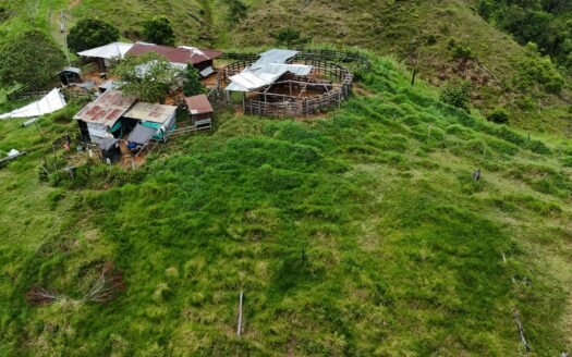 Finca Zaragoza
