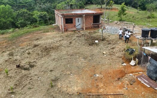 Lote Manzanillo