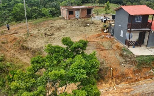 Lote Manzanillo