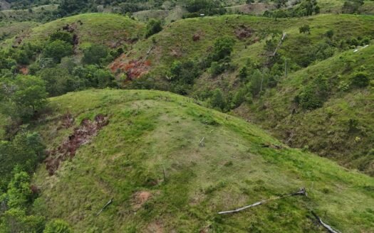Finca Zaragoza